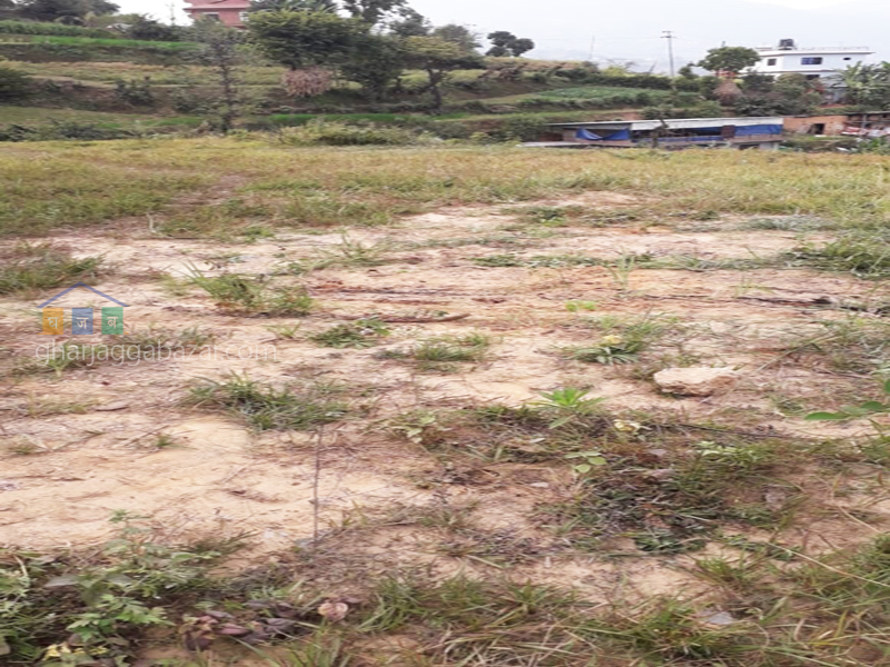 Commercial Land on Sale at Khawa